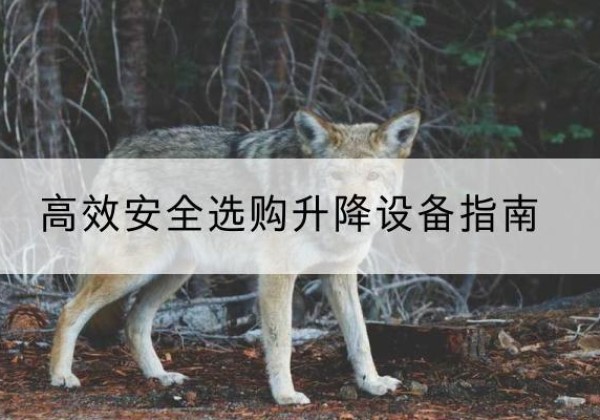 任泽升降货梯厂家推荐-*安全选购升降设备指南