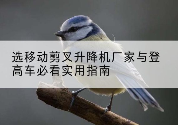 任泽电动升降机厂家-选移动剪叉升降机厂家与登高车必看实用指南